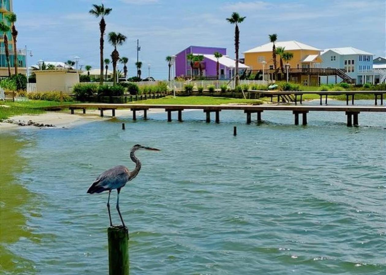 Summer House West B103 Gulf Shores Dış mekan fotoğraf